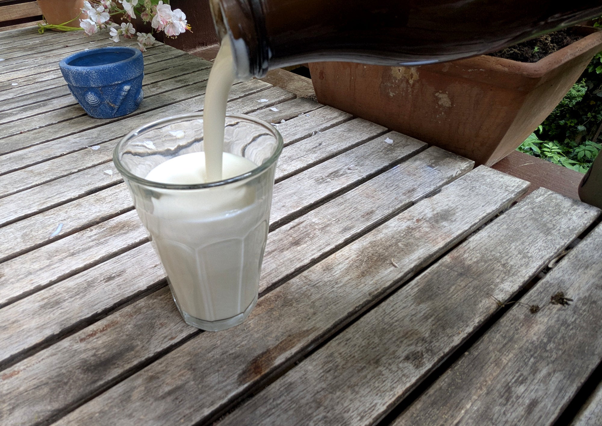 Workshop Kefir, Joghurt & Co.