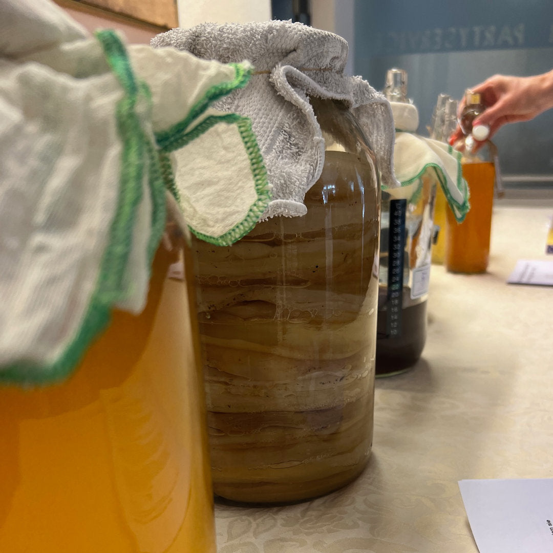 Kombucha – Prickelndes Ferment selber machen