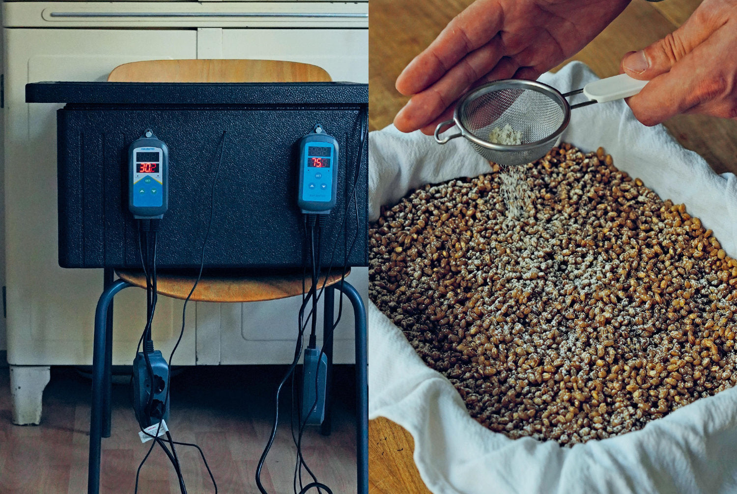 Fermentiert - von Christoph Marx und Lennart Wiese