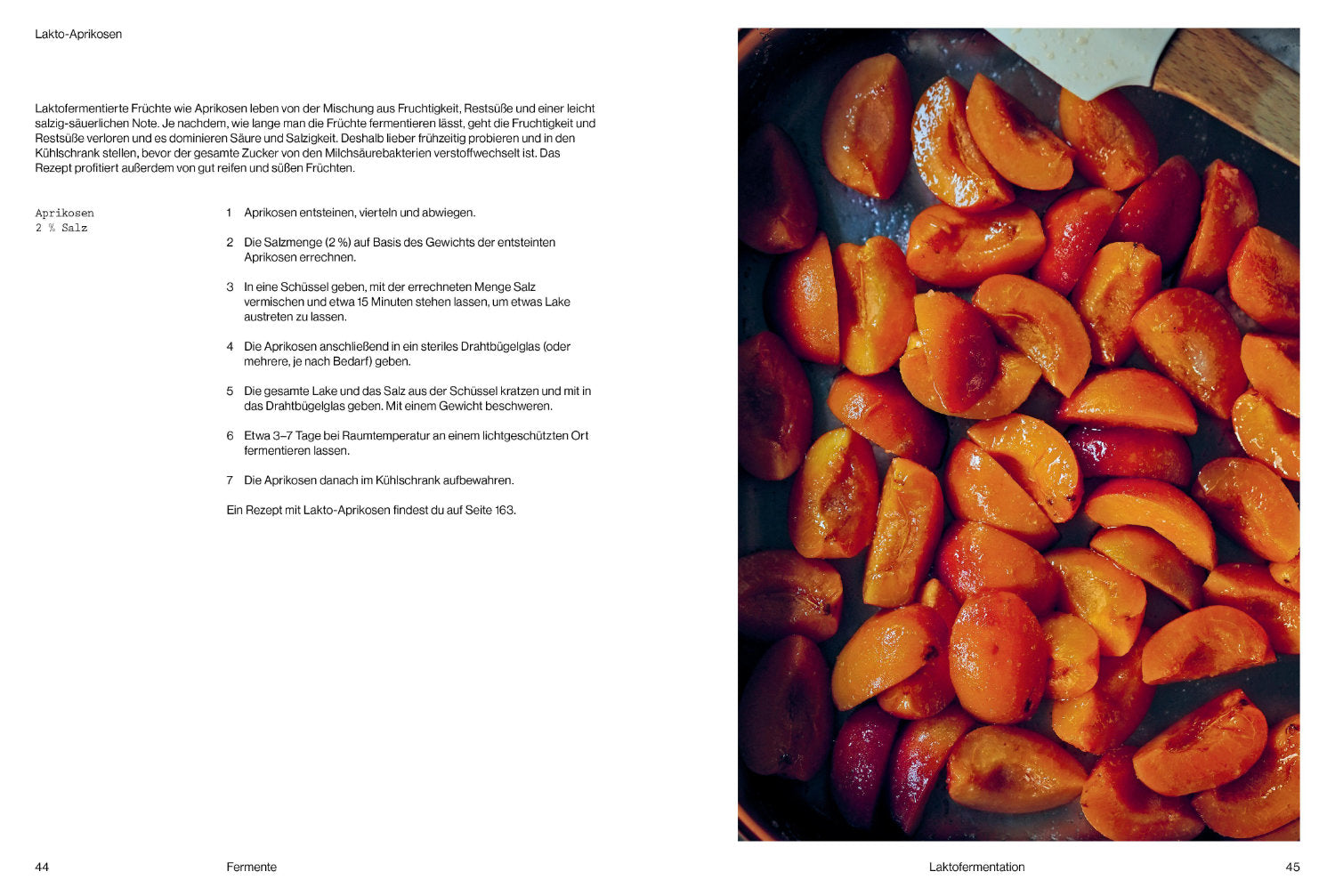 Fermentiert - von Christoph Marx und Lennart Wiese