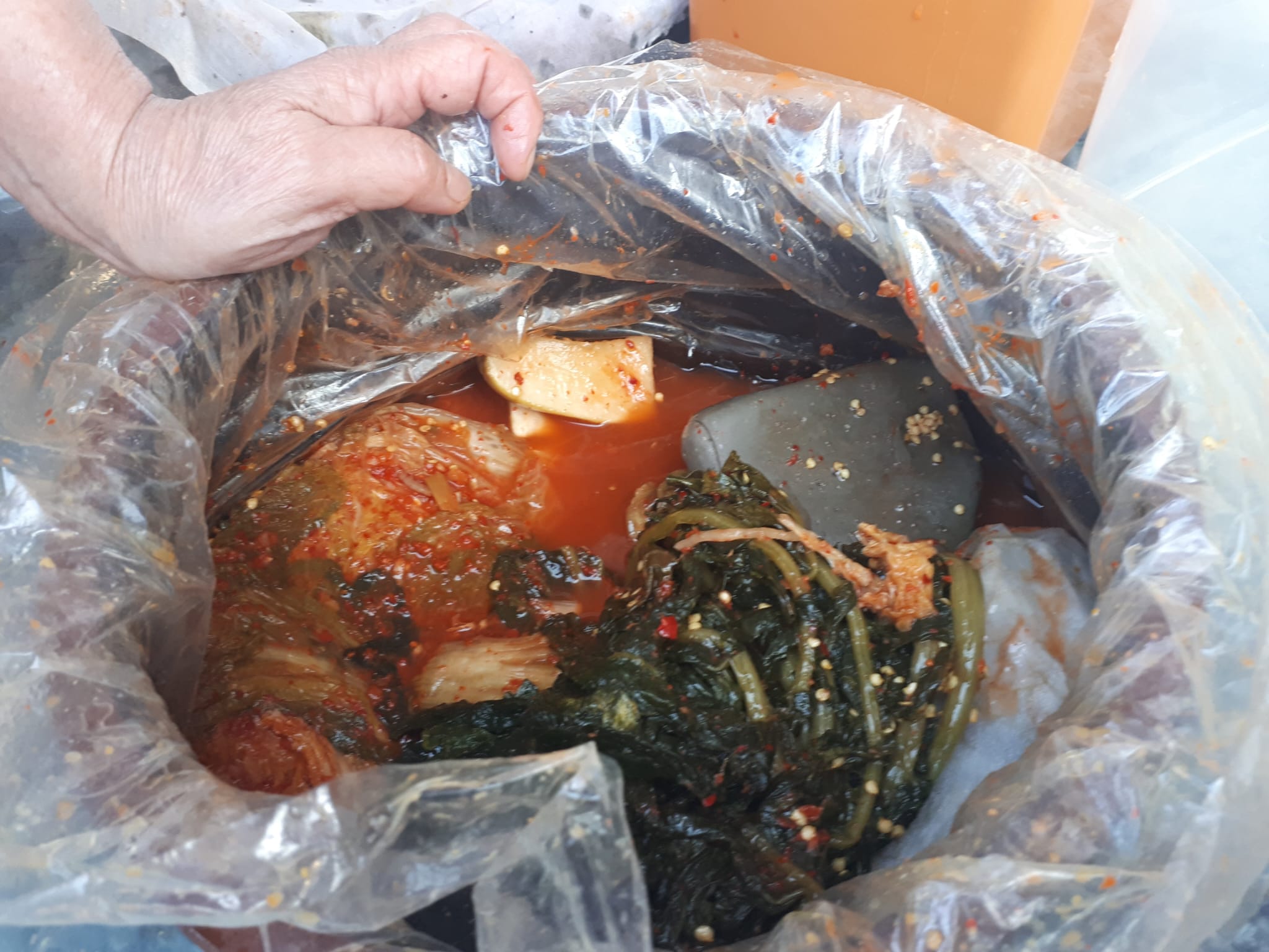 Leipziger Kimjang: Kimchi Workshop mit Angie aus Korea