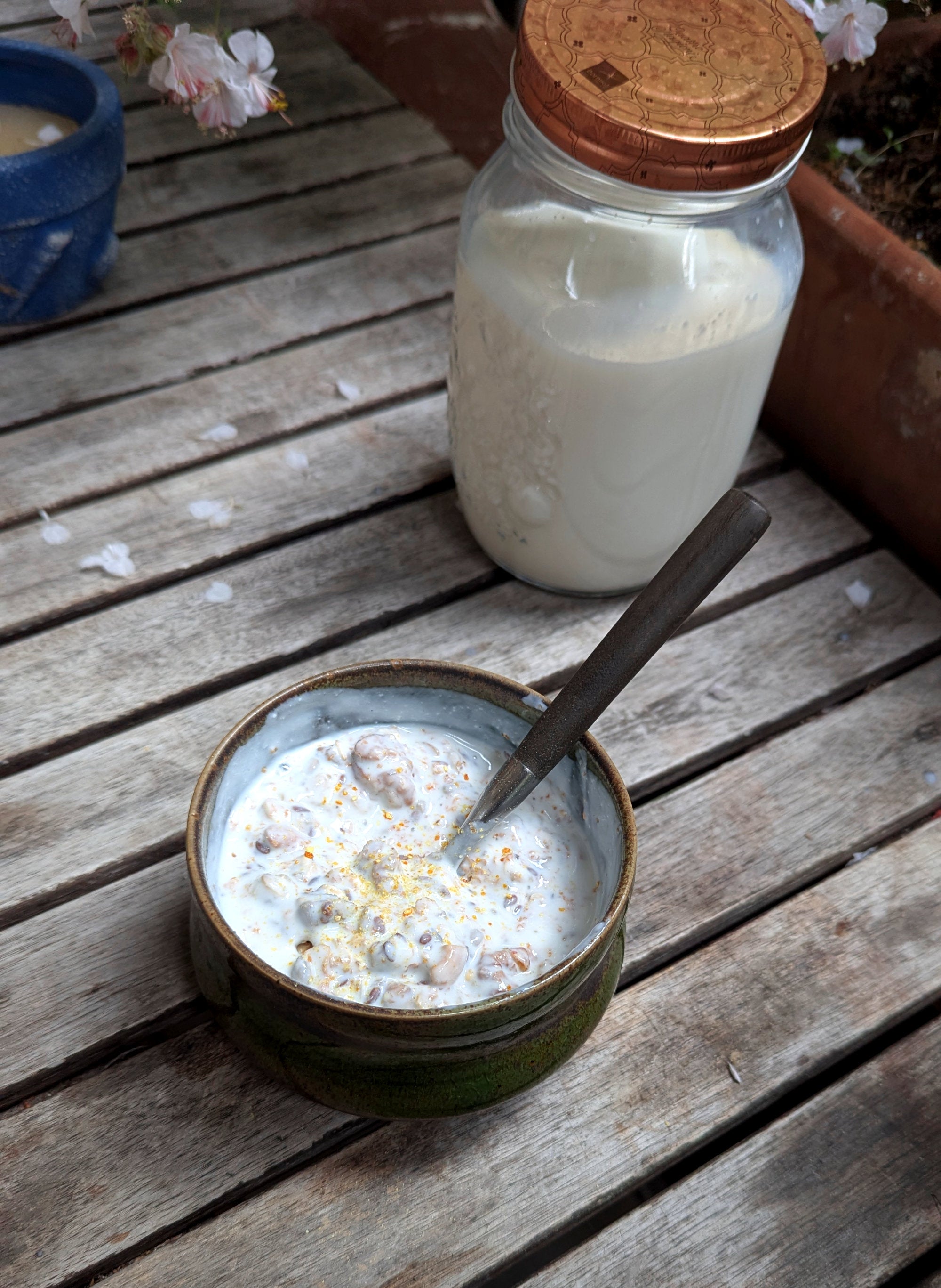 Workshop Kefir, Joghurt & Co.