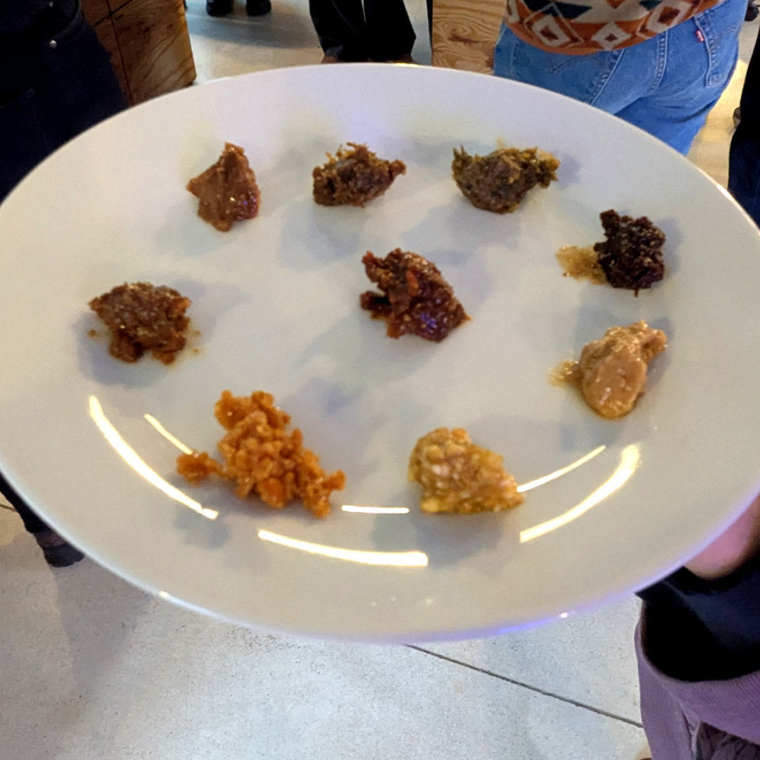 Miso selbst gemacht – Umami von Grund auf.  Mit Lennart Wiese